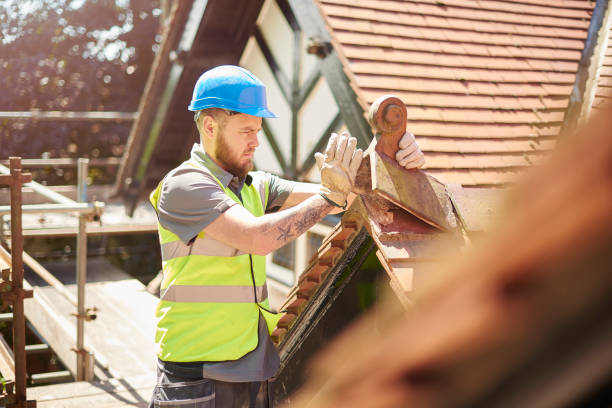Best Roof Gutter Cleaning  in Guerneville, CA